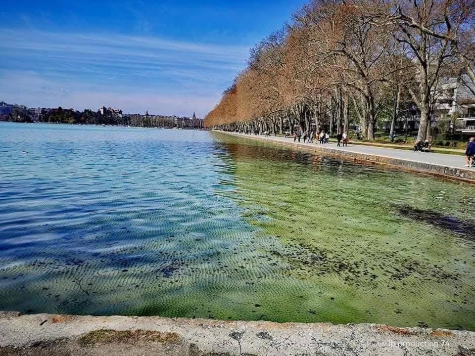 La Petite Venise Des Alpes, Ultra Centre 1 A 5 Pers Διαμέρισμα Άννεσι Εξωτερικό φωτογραφία